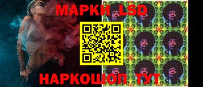 индика Аргун
