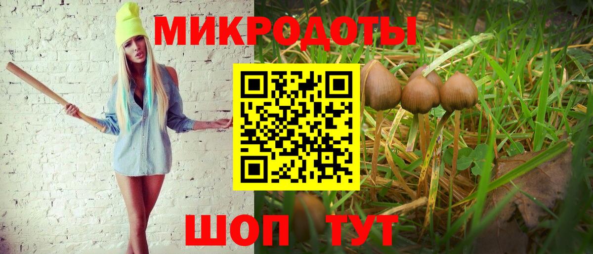 Псилоцибиновые грибы прущие грибы  Вход с VPN  Вязьма 